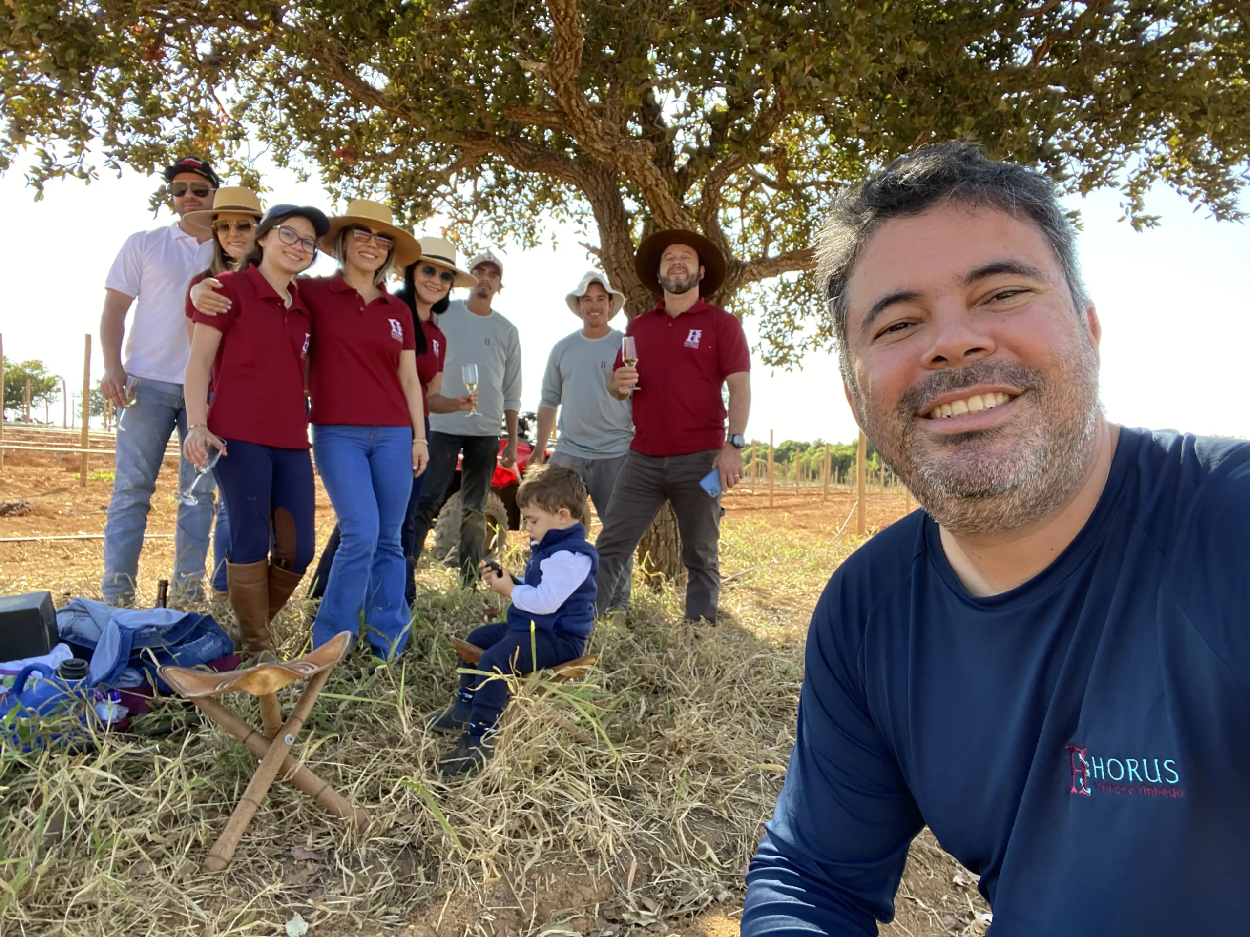 Vinhos HORUS - coleção de rótulos