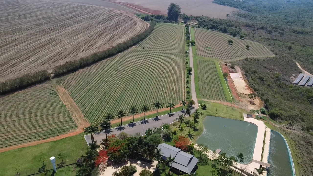 Vinícola HORUS - vinhedo em altitude